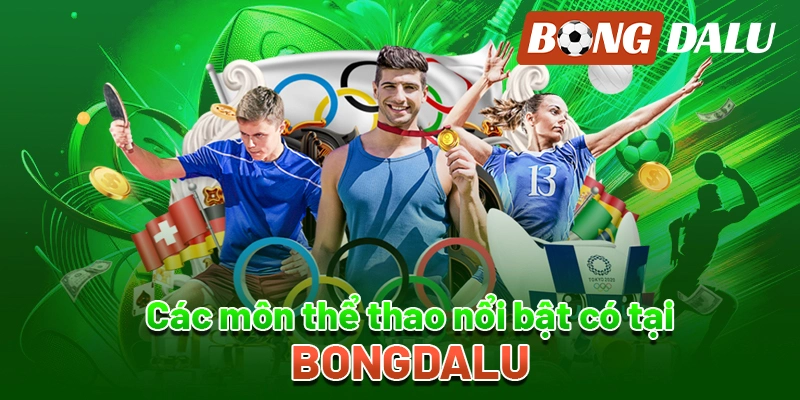 Hoạt động vận hành và dịch vụ tại bongdalu88